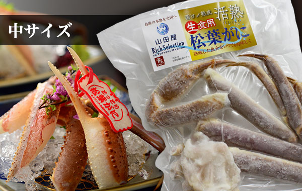 商品写真：活熟-IKEjUKU- 生食用松葉がに