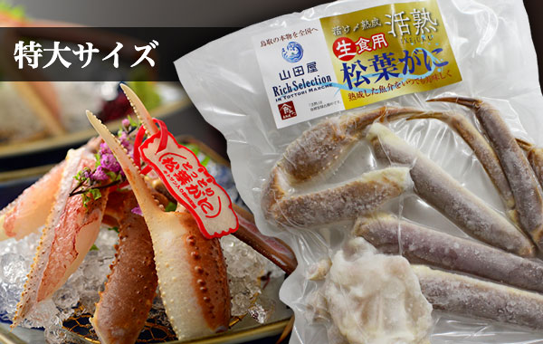 商品写真：活熟-IKEjUKU- タグ付き生食用松葉がに